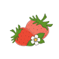 May 2023 Strawberry Attachment Add On